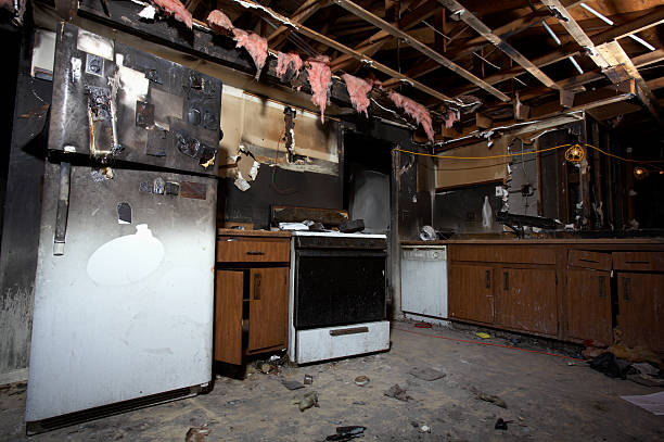 Affordable Fire Damage Removal solutions in Harmans, MD